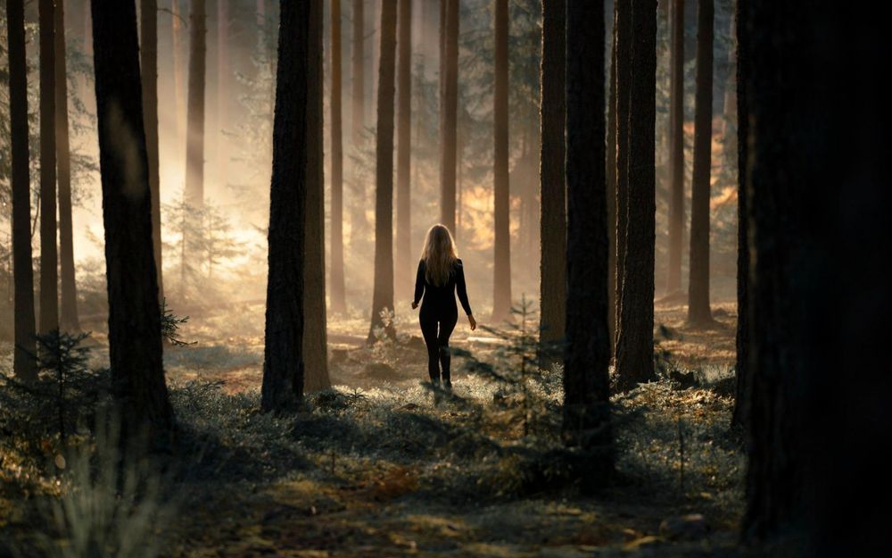 Фото по запросу Девушка лесу летом