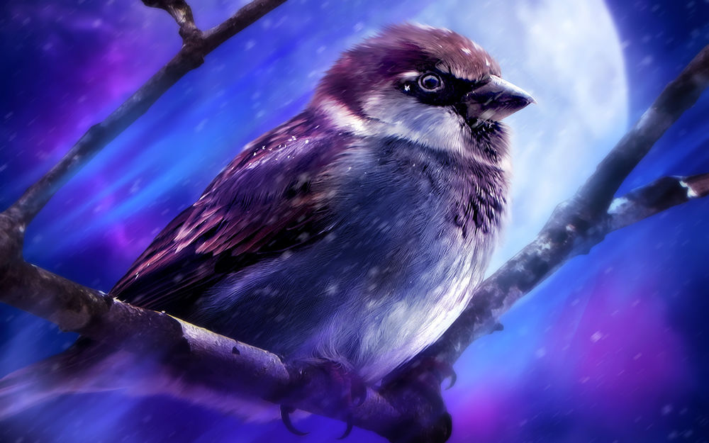 Обои для рабочего стола На фоне луны воробей на ветке