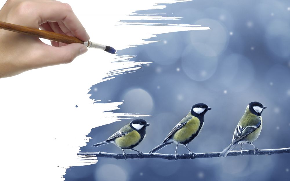 Обои для рабочего стола Рука рисует кисточкой синичек сидящих на ветке дерева во время снега