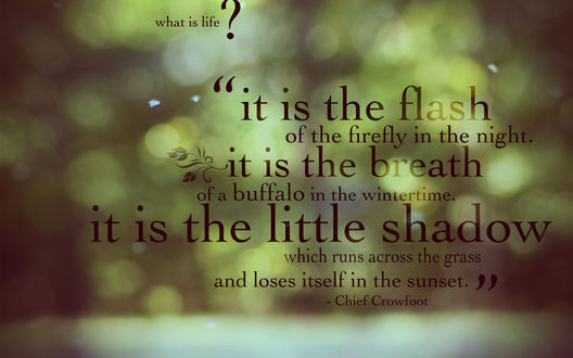 Обои на рабочий стол What is life? It is the flash of the firefly in the night. It is the breath of the buffalo in the wintertime. It is the little shadow which runs across the grass and loses itself in the sunset / Что такое жизнь? Это вспышка светлячка в ночи. Это дыхание б
