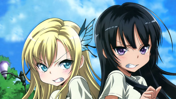 Обои на рабочий стол Сэна Касивадзаки / Sena Kashiwazaki и Ёдзора Микадзуки / Yozora Mikazuki из аниме У меня мало друзей / Boku wa Tomodachi ga Sukuna