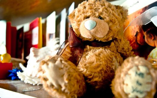 Обои на рабочий стол Мишка Тедди / Teddy сидит на полке с различными папками