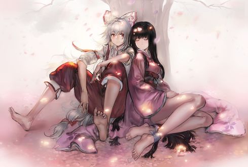 Обои на рабочий стол Fujiwara no Mokou / Фудживара но Моко и Houraisan Kaguya / Кагуя Хорайсан сидят под деревом сакуры с которого падают лепестки, из серии компьютерных игр Тохо / Touhou Project
