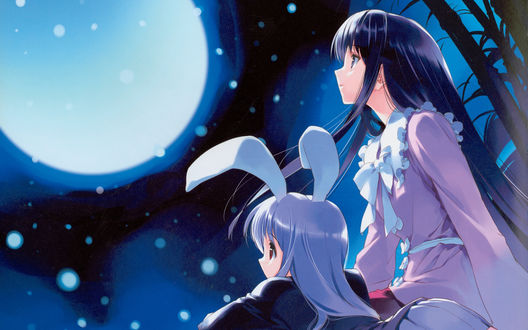 Обои на рабочий стол Reisen Udongein Inaba / Рейзен Удонгейн Инаба и Houraisan Kaguya / Кагуя Хорайсан сидят и смотрят на ночное небо и полную луну, из серии компьютерных игр Тохо / Touhou Project