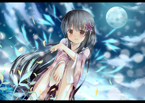 Обои на рабочий стол Houraisan Kaguya / Кагуя Хорайсан сидит на фоне ночного неба, в воздухе летают цветочные лепестки, из серии компьютерных игр Тохо / Touhou Project