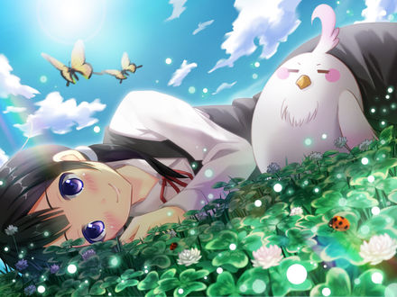 Обои на рабочий стол Kitashirakawa Tamako / Тамако Китасиракава лежит на клеверной поляне возле нее спит Dera Mochimazzui / Дэра Мотимаддзи (розово - белая говорящая птица) из аниме Tamako Market / Магазинчик Тамако