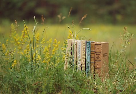 Обои на рабочий стол Стопка книг стоит в летней траве