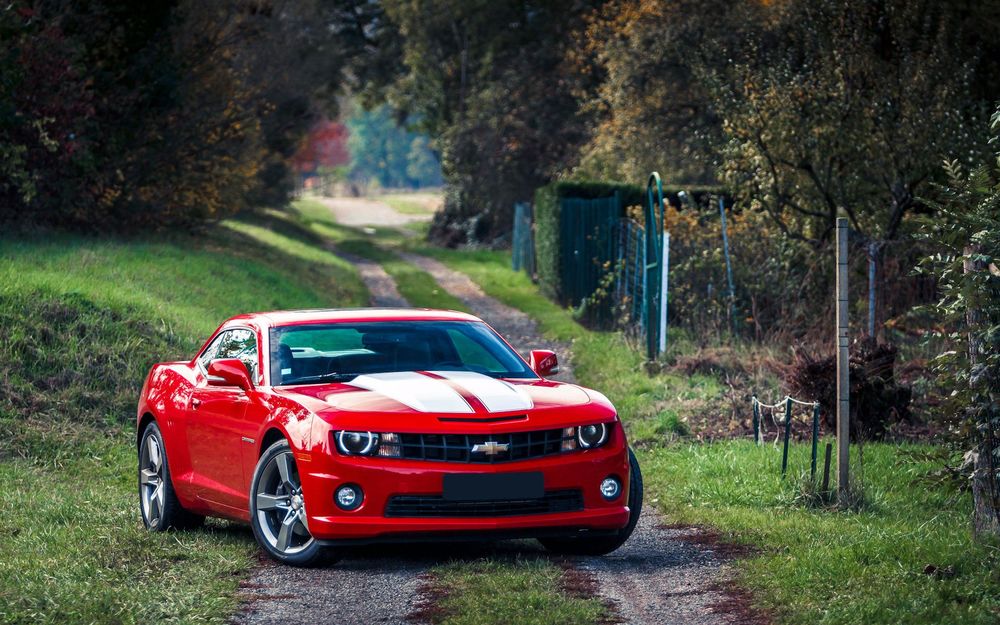 Обои для рабочего стола Chevrolet camaro / Шифролет Камаро красного цвета стоит на дачных участках