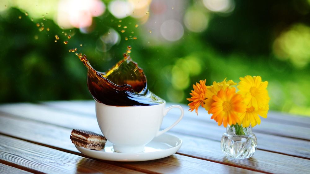 Обои для рабочего стола Чашка кофе и вазочка с цветами на столе в саду