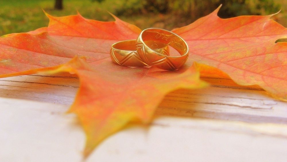 Обои для рабочего стола Два обручальных кольца лежат на оранжевом кленовом листе
