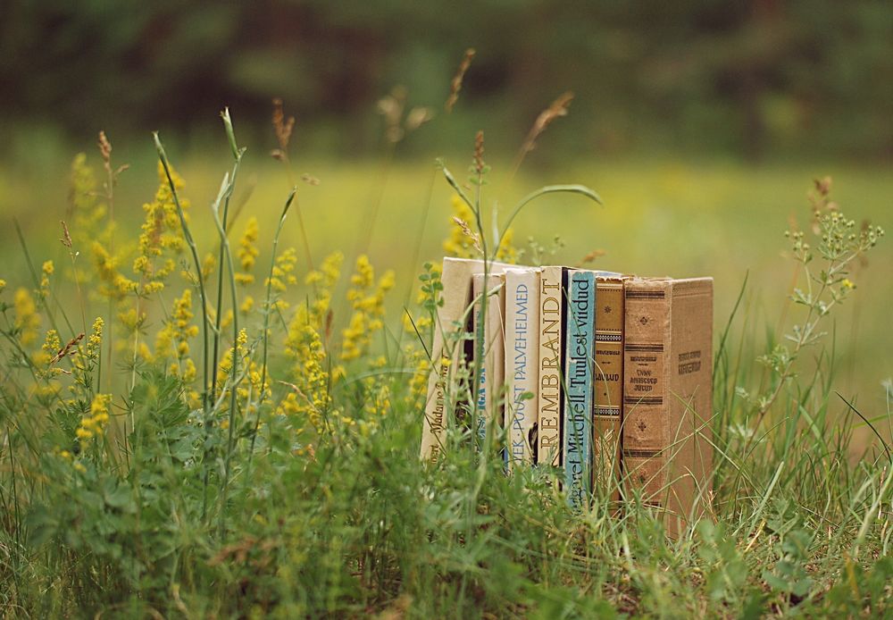Обои для рабочего стола Стопка книг стоит в летней траве