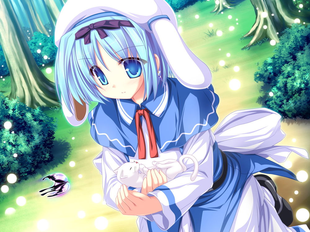 Обои для рабочего стола Kujou Yuuka идет по лесу, держа на руках белого котенка, из игры - визуальной новеллы Magus Tale: Seikaiju to Koisuru Mahou Tsukai (художник Tenmaso)