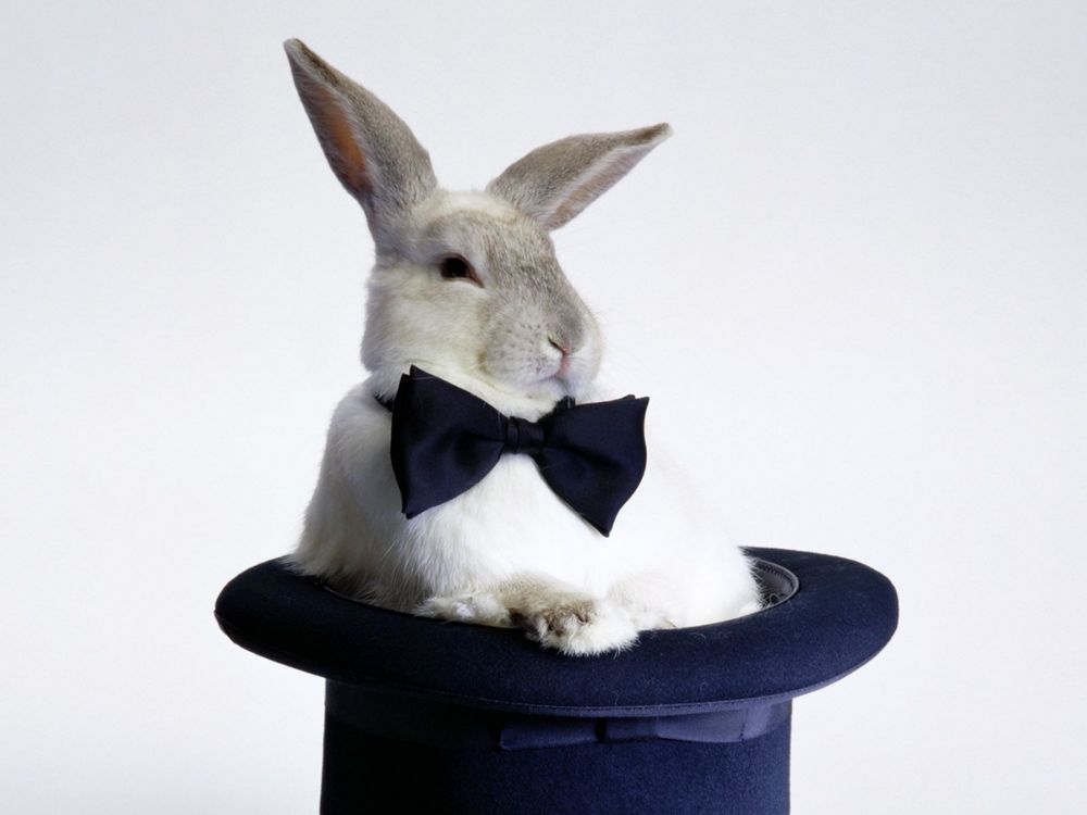 Обои для рабочего стола Белый кролик с черным бантом сидит в темно - синей шляпе на белом фоне