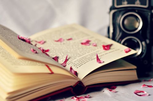 Обои на рабочий стол Камера рядом с раскрытой книгой, в которой рассыпаны розовые лепестки