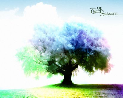 Обои на рабочий стол Дерево всех цветов радуги, Tree of seasons / Древо времен года