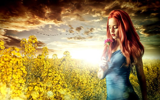 Обои на рабочий стол Рыжеволосая девушка, держащая в руке розовый цветок, стоящая в поле на фоне утреннего восходящего солнца и летящей стаи птиц