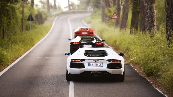 Обои на рабочий стол Автомобили Lamborghini Aventador LP 700-4 / Ламборгини Авентадор, в красном, черном и белом цвете, едут по лесной дороге
