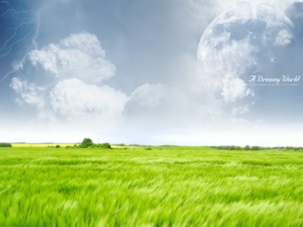 Обои на рабочий стол Поле с зелеными колосьями на фоне неба и молнии (A Dreamy World а mans dreams are an index to his greatness / Грезящий Мир мужской мечты, статус для его величия)