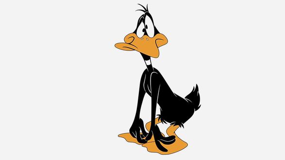 Обои на рабочий стол Черная утка Daffy Duck / Даффи Дак из мультфильма производства Walt Disney Company / Диснея