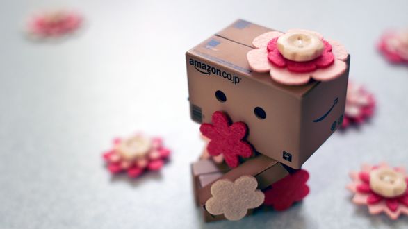 Обои на рабочий стол Коробочка Danbo / Данбо с розовыми цветами из материала