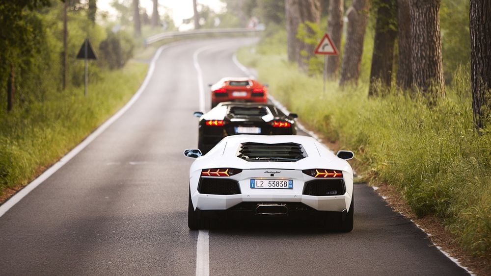 Обои для рабочего стола Автомобили Lamborghini Aventador LP 700-4 / Ламборгини Авентадор, в красном, черном и белом цвете, едут по лесной дороге