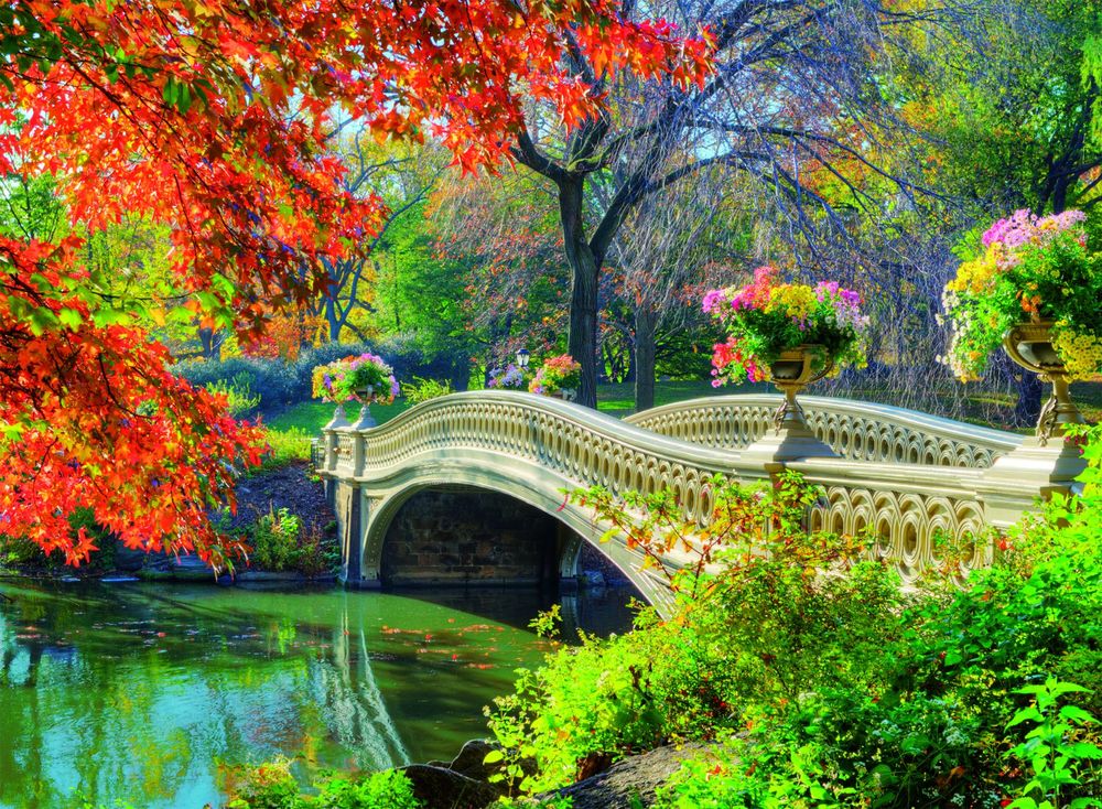 Обои для рабочего стола Bow Bridge / Горбатый мост в Центральном парке / Central Park в Нью-Йорке, США / New York, USA