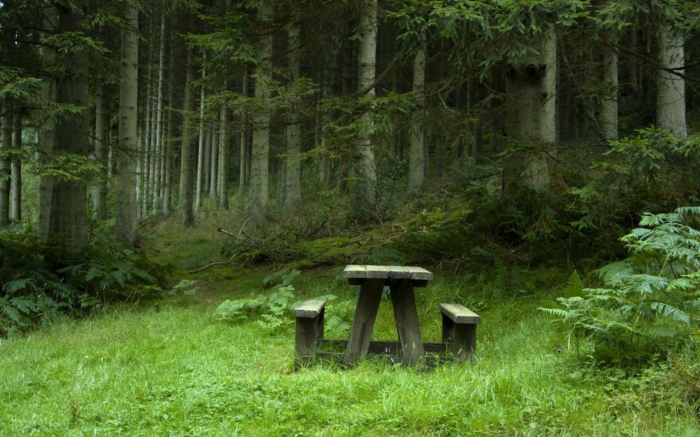 Обеденный стол Лесной 90x90