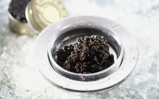 Обои на рабочий стол Черная икра в серебряном блюдце