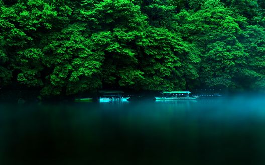 Обои на рабочий стол Лодки с людьми, остров Хонсю, Япония / Honshu, Japan