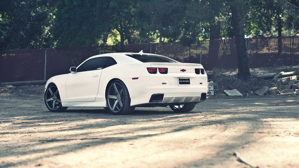 Обои на рабочий стол Белый Chevrolet Camaro припаркованный у дороги