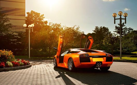 Обои на рабочий стол Оранжевая машина марки Ламборджини / Lamborghini на фоне деревьев и неба