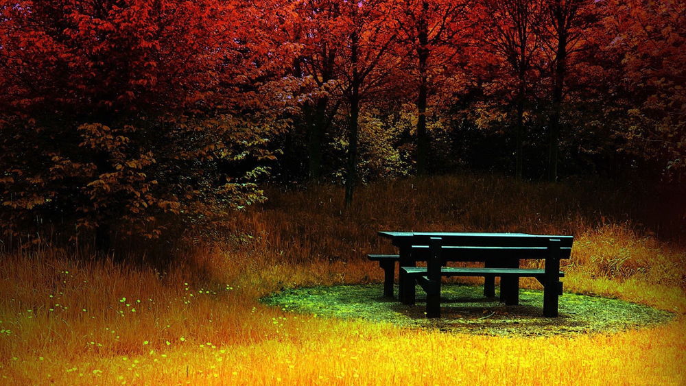 Обои для рабочего стола Стол с лавочками на зеленой поляне, вокруг пожелтевшая трава и деревья с красными листьями