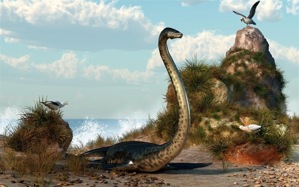 Обои для рабочего стола Sea Monster on the Beach / Морское чудовище на берегу, художник Daniel Eskridge