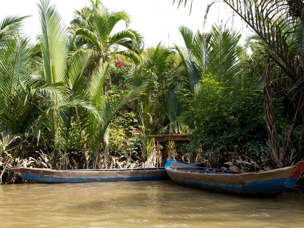 Обои для рабочего стола Заросли тропических пальм у реки с причаленными лодками