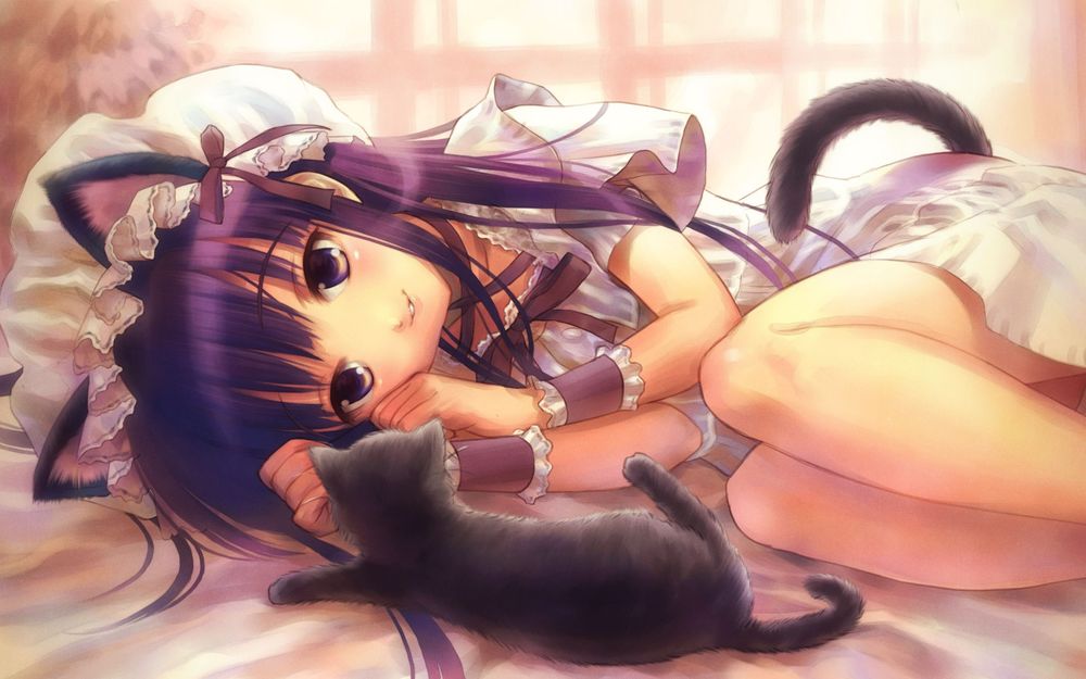 Обои для рабочего стола Неко-девушка лежит на кровати, рядом лежит серый котенок