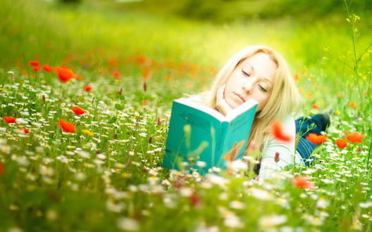 Обои на рабочий стол Девушка читает книгу лежа в поле из ромашек и красного мака