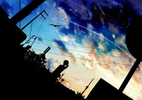 Обои на рабочий стол Силуэт парня, тянущего руку к небу