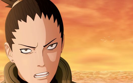 Обои на рабочий стол Шикамару Нара / Shikamaru Nara из аниме Наруто / Naruto