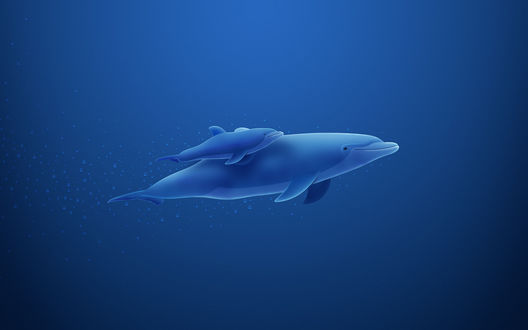 Обои на рабочий стол Самка дельфина с детенышем плывут под водой