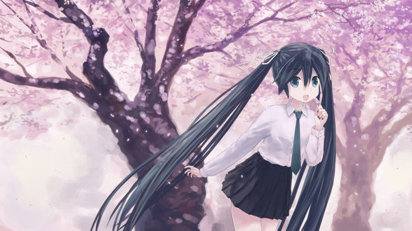 Обои на рабочий стол Vocaloid Hatsune Miku / Вокалоид Хацунэ Мику на фоне цветущих деревьев сакуры