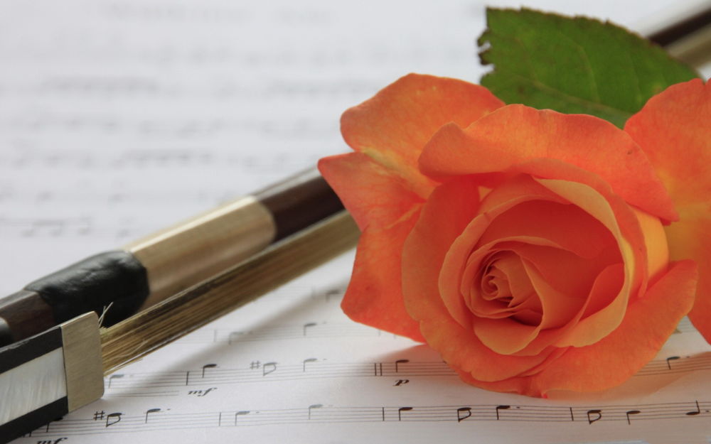 Обои для рабочего стола Алая роза с зеленым листочком, лежащая возле смычка от скрипки на открытой нотной тетради