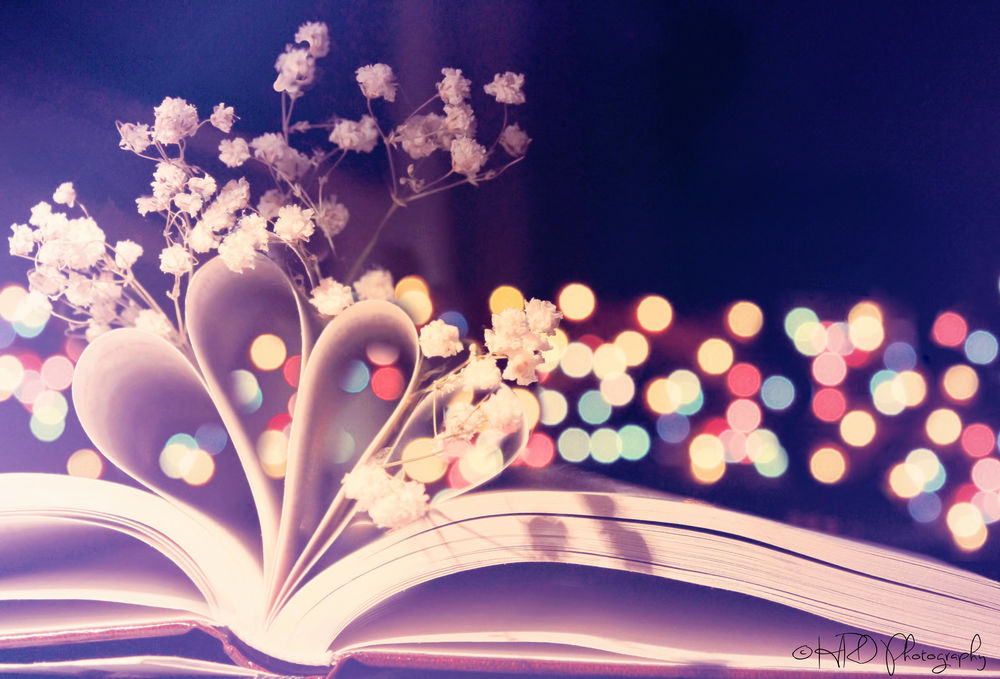 Обои для рабочего стола Веточка с белыми цветами и блики над открытой книгой, работа Redanshy