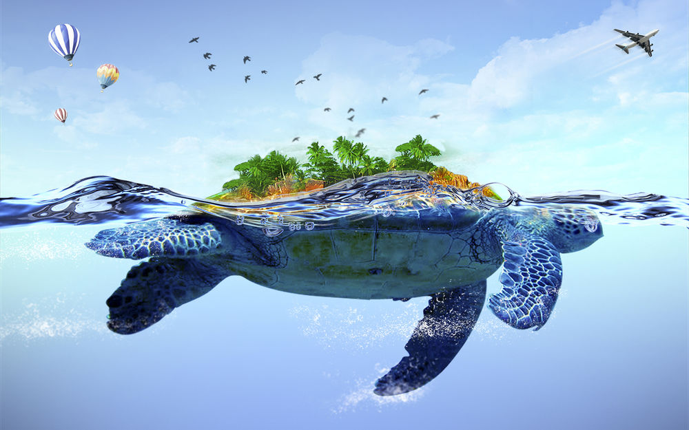 черепаха в океане