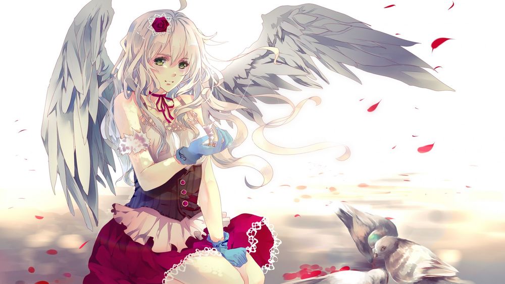 Обои для рабочего стола Девушка с крыльями ангела кормит голубей на белом фоне и красных лепестков роз