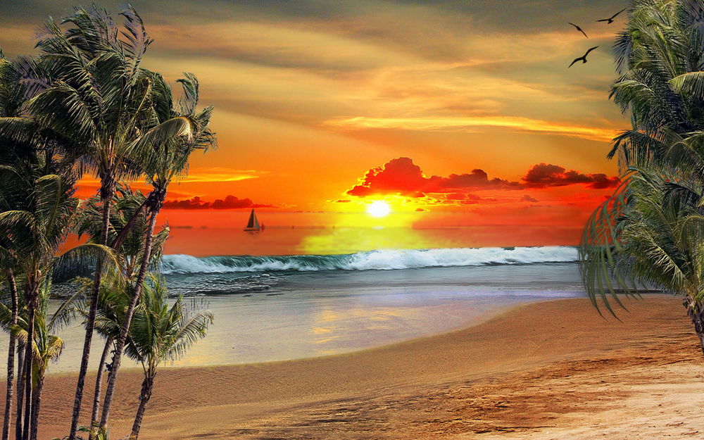 Обои для рабочего стола Океанский тропический берег с песочным пляжем, растущими пальмами на фоне багряного заката солнца, парусника, плывущего на линии горизонта