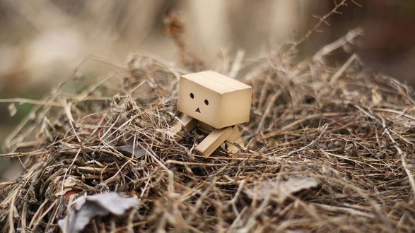 Обои на рабочий стол Коробочный человечек Данбо / Danbo сидит в куче веток и сухих листьев