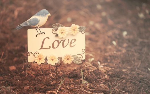 Обои на рабочий стол Птица сидит на белой дощечке с цветами (Love / Любовь)
