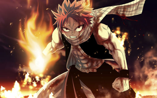 Oboi Natsu Dragneel Nacu Dragnil Iz Anime Fairy Tail Hvost Fei Na Rabochij Stol