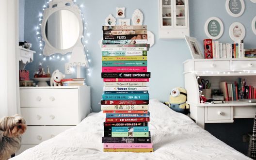 Обои на рабочий стол Собака смотрит на высокую стопку книг, которая стоит на кровати в комнате