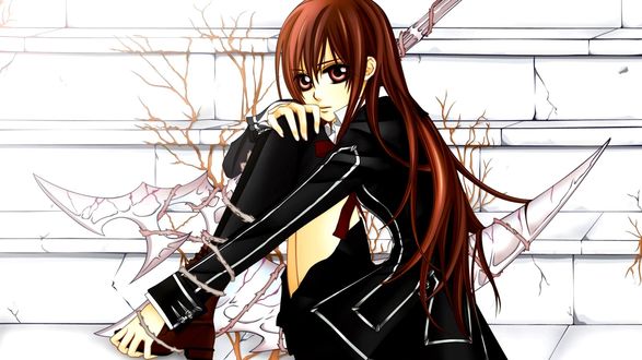 Обои на рабочий стол Юки Кросс / Yuuki Cross из аниме Рыцарь Вампир / Vampire Knight